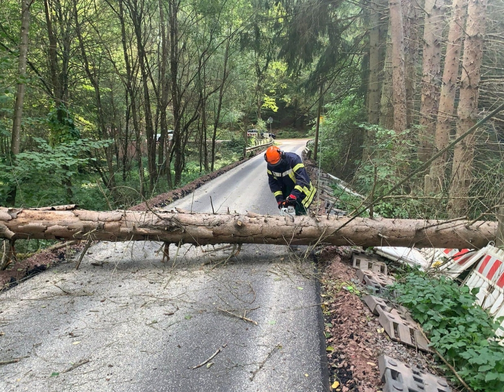 Feuerwehr Vg Lambrecht Umgest Rtzter Baum H