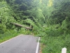 img_20250521_065254