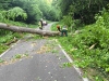 img_20250521_070123