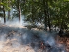 brand-flaeche-1-3