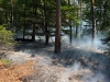 brand-flaeche-1-4