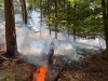 brand-flaeche-1