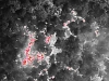 Thermalansicht